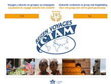 Tablet Screenshot of ictam.com